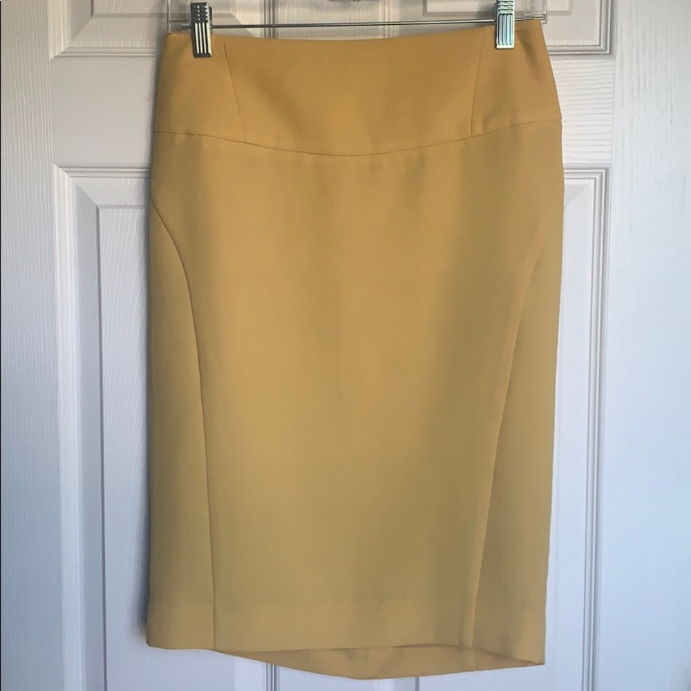 NWT High Waisted Pencil Skirt